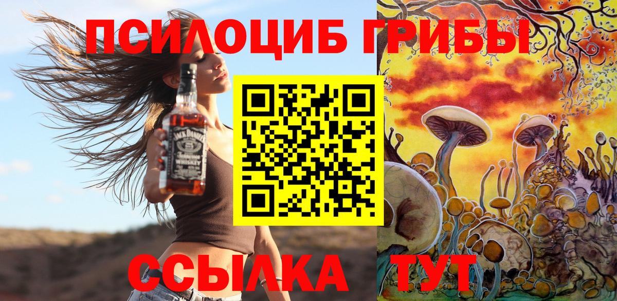 Псилоцибиновые грибы Cubensis Старый Оскол
