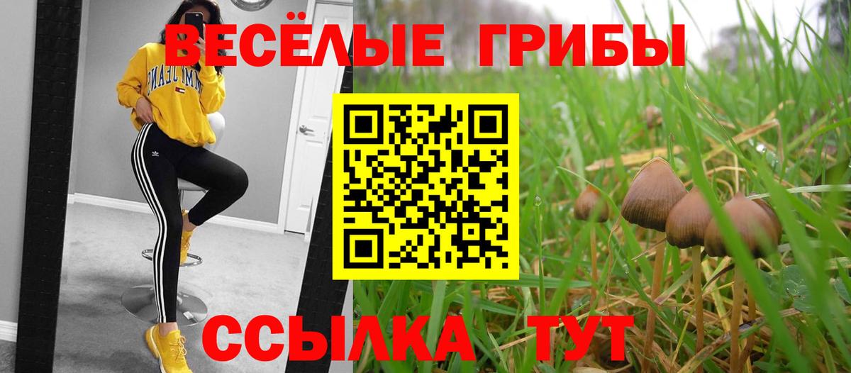 Старый Оскол  Галлюциногенные грибы прущие грибы  Вход с VPN 
